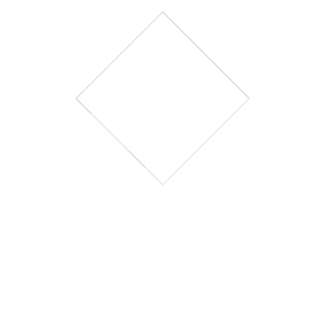 Logo Toxement Blanco PNG